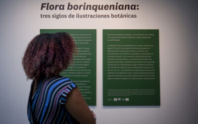 Flora borinqueniana: tres siglos de ilustraciones botánicas