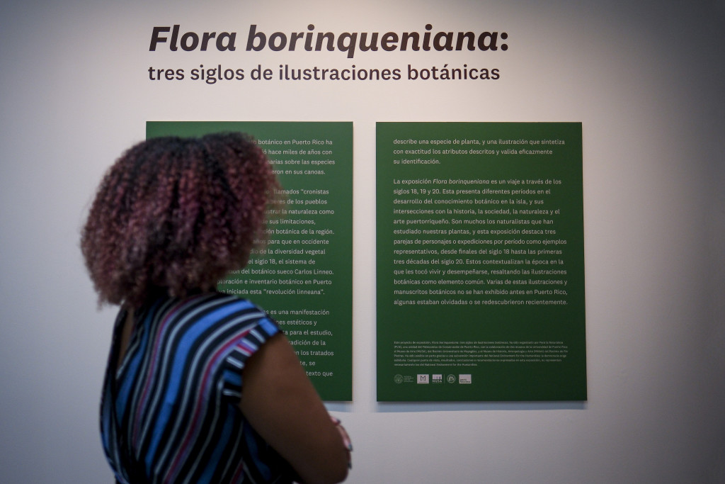 Flora borinqueniana: tres siglos de ilustraciones botánicas