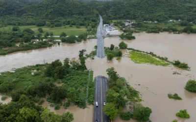 Huracán Ernesto en Puerto Rico: sector agrícola sufrió millones de dólares en pérdidas